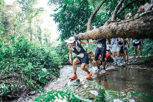 BIB: 
                            <button type="button" onclick="openModal(25457168)" class="btn btn-primary btn-sm float-right btn-popup" data-toggle="modal" data-target=".modal-high-quality">
                        <i class="fas fa-shopping-cart"></i> Add to Cart
                    </button>
                                            <button type="button" onclick="isThisMe(25457168, true)" class="btn btn-success btn-sm float-right btn-popup btn-isme hidden" data-toggle="tooltip" data-placement="bottom" title="นี่คือรูปของคุณใช่ไหม คลิกที่นี่เพื่อเอาเข้าอัลบั้ม">
                        <i class="fas fa-plus"></i> Add to album
                    </button>
                    <button type="button" onclick="isThisMe(25457168, false)" class="btn btn-warning btn-sm float-right btn-popup btn-isnotme hidden">
                        <i class="fas fa-ban"></i> Remove from album
                    </button>